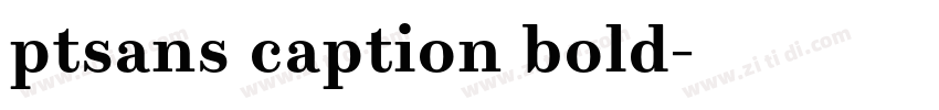 ptsans caption bold字体转换